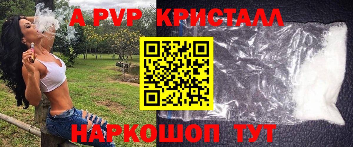 Alfa_PVP СК Гатчина