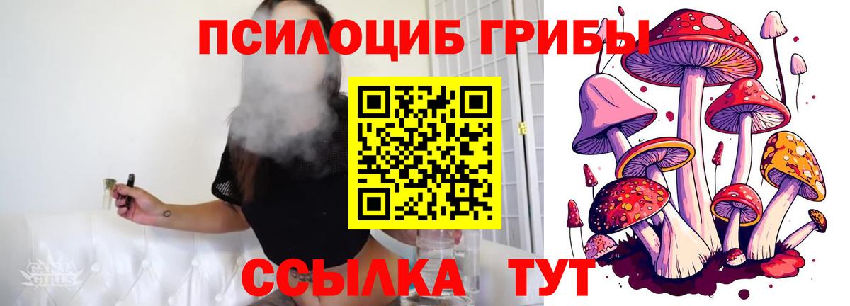 Галлюциногенные грибы Cubensis  Вход с VPN  Гатчина 