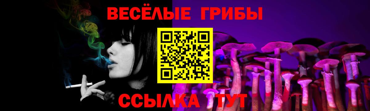 Гатчина  ГАШ  Канабис  Кокаин  Вход с VPN  Мефедрон кристаллы 