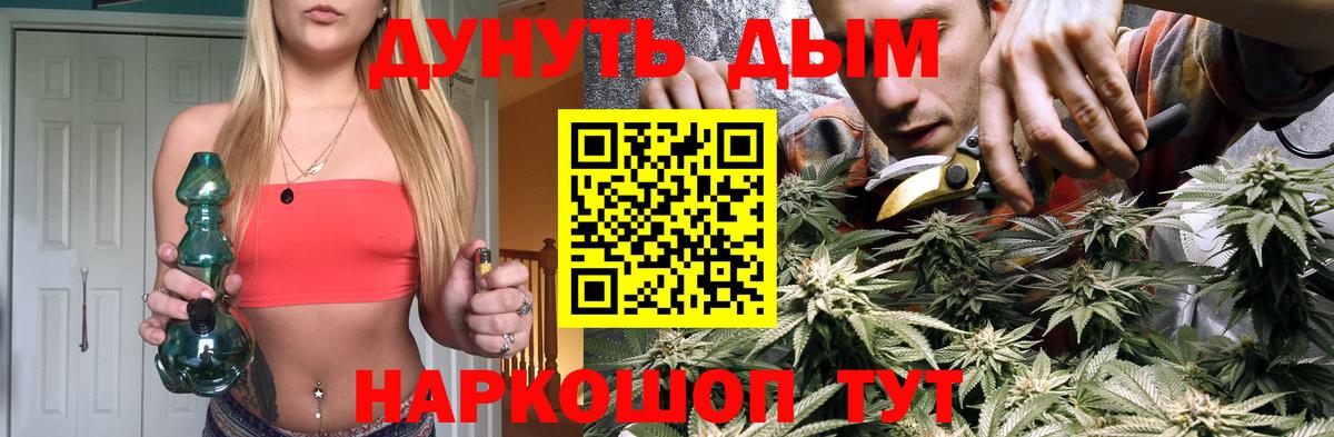 Гатчина  Каннабис план  Марихуана OG Kush  МАРИХУАНА SATIVA & INDICA  Вход с VPN 